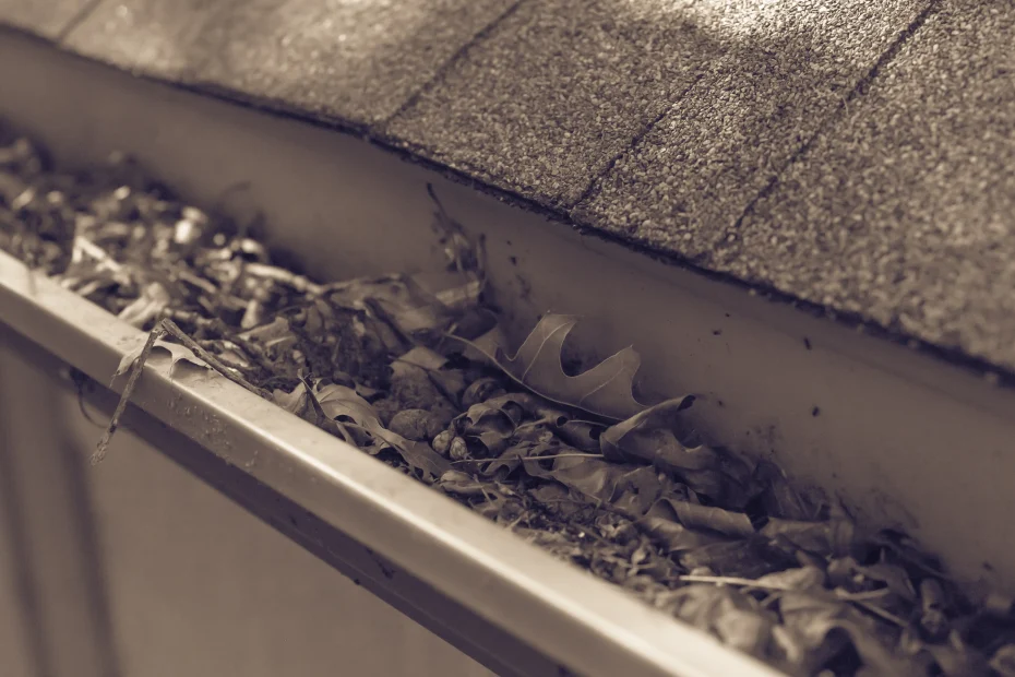 Newport Gutter Cleaning