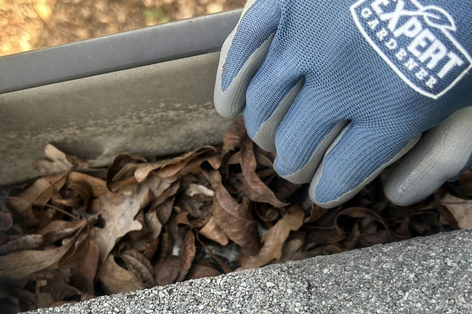 Newport Gutter Cleaning