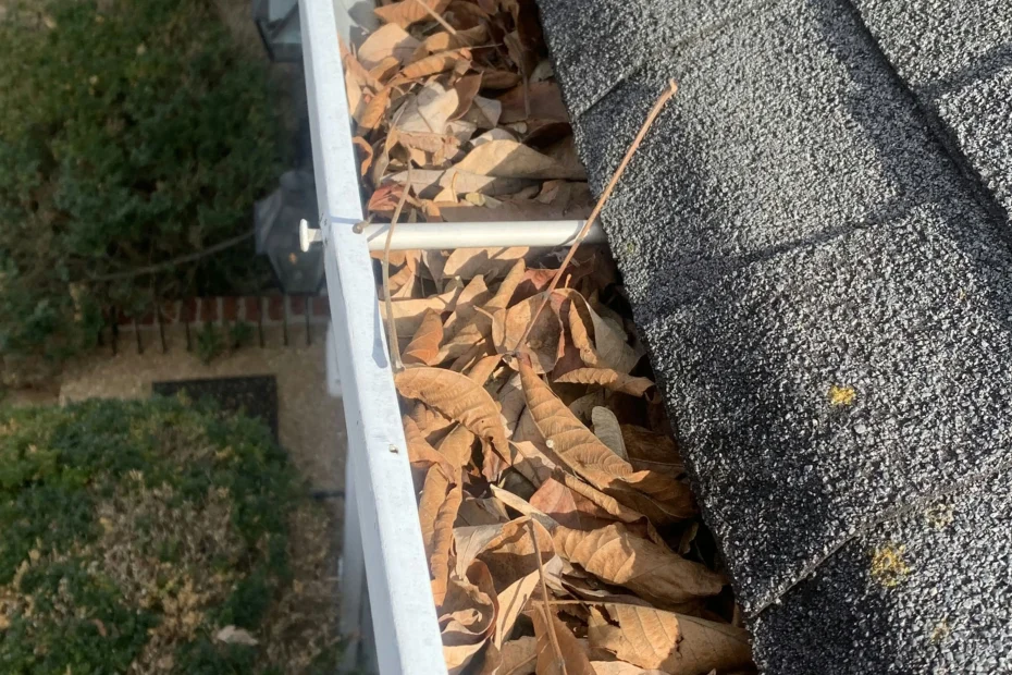 Newport Gutter Cleaning
