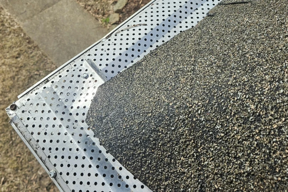 Newport Gutter Cleaning