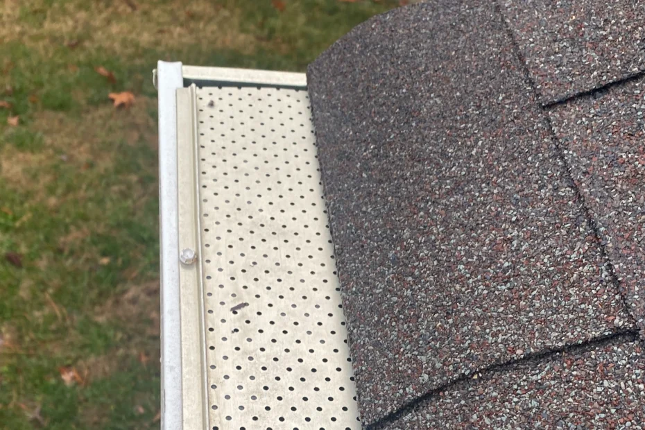 Newport Gutter Cleaning