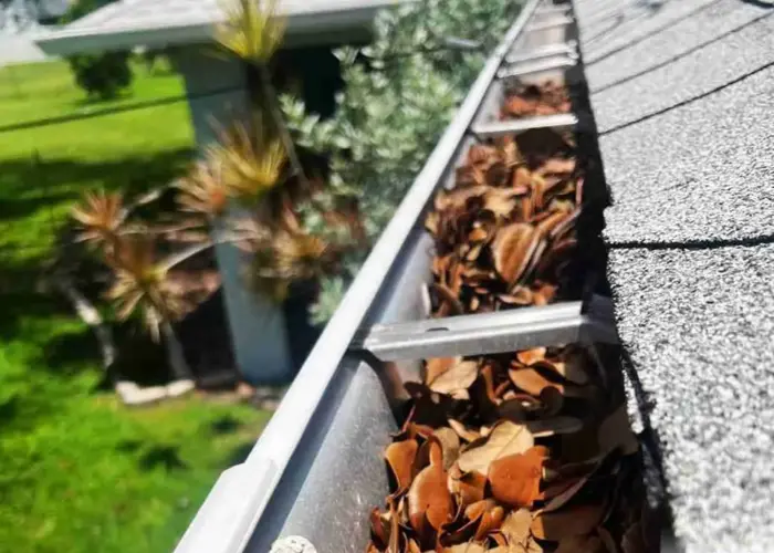 Newport gutter cleaning home page